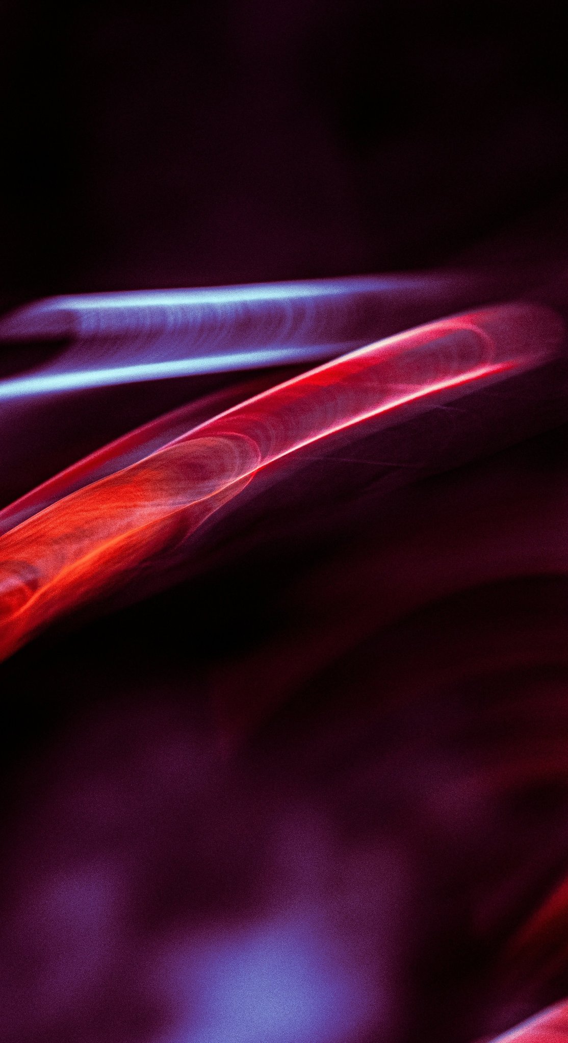 geronimo-giqueaux-QvFZnRnV0Rw-unsplash copia 2