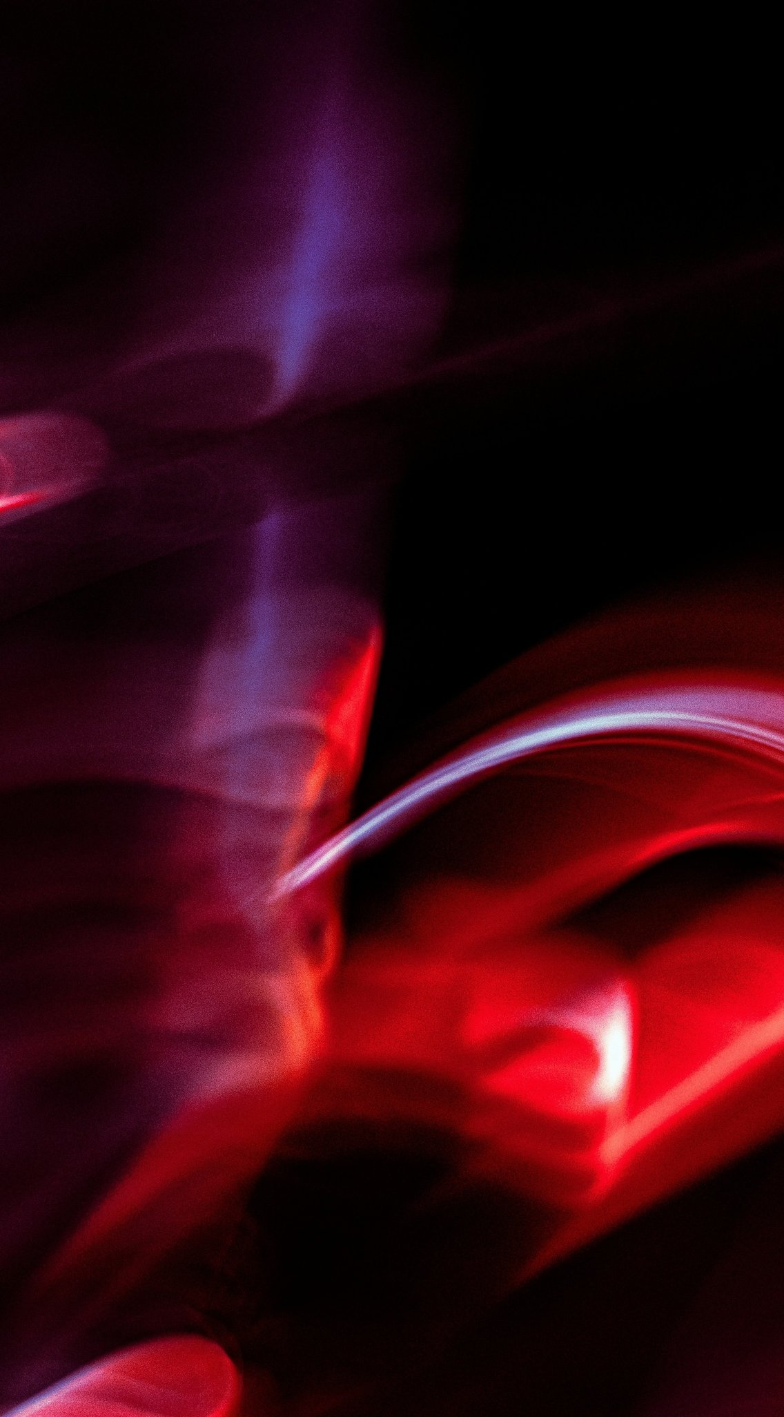 geronimo-giqueaux-QvFZnRnV0Rw-unsplash copia